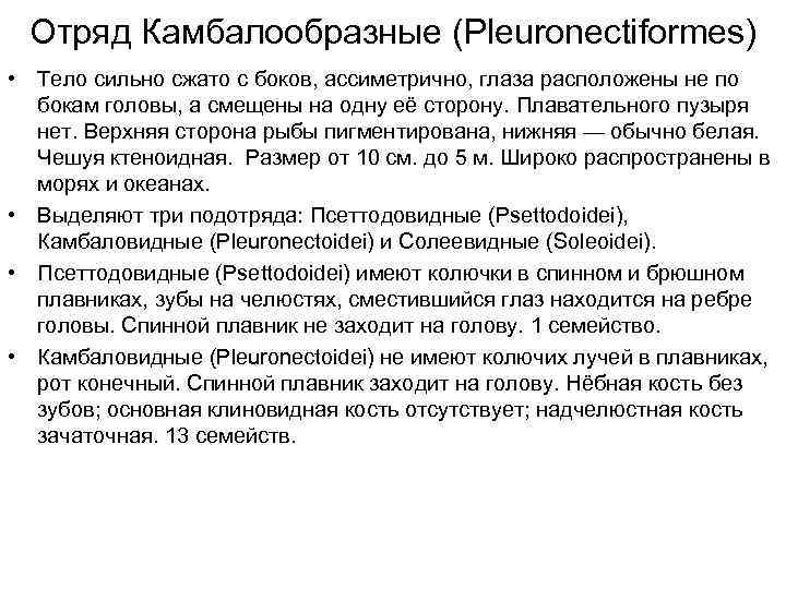 Отряд Камбалообразные (Pleuronectiformes) • Тело сильно сжато с боков, ассиметрично, глаза расположены не по