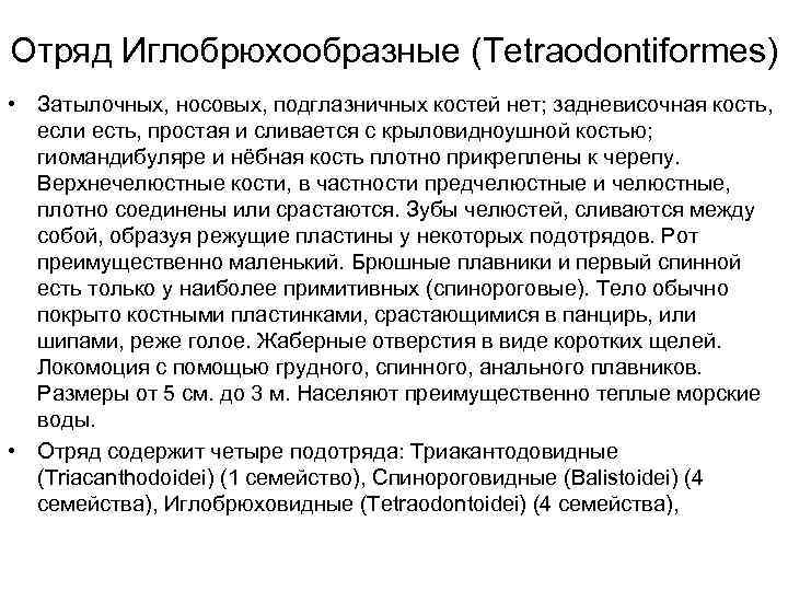 Отряд Иглобрюхообразные (Tetraodontiformes) • Затылочных, носовых, подглазничных костей нет; задневисочная кость, если есть, простая