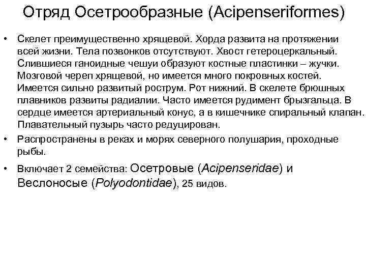 Отряд Осетрообразные (Acipenseriformes) • Скелет преимущественно хрящевой. Хорда развита на протяжении всей жизни. Тела