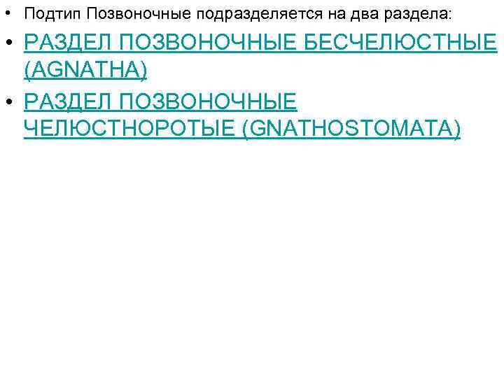  • Подтип Позвоночные подразделяется на два раздела: • РАЗДЕЛ ПОЗВОНОЧНЫЕ БЕСЧЕЛЮСТНЫЕ (AGNATHA) •