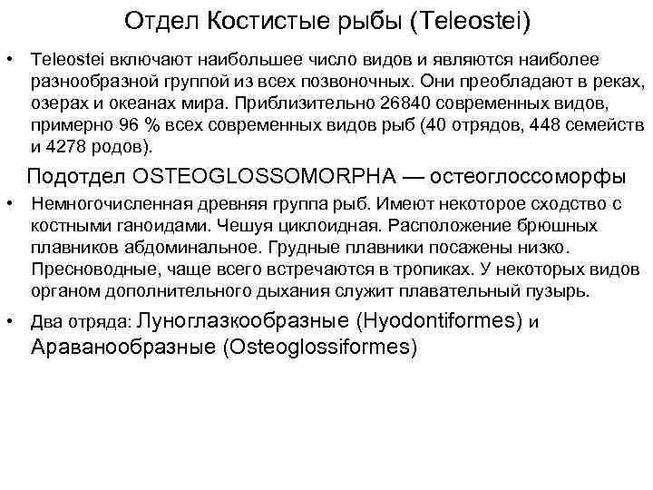 Отдел Костистые рыбы (Teleostei) • Teleostei включают наибольшее число видов и являются наиболее разнообразной