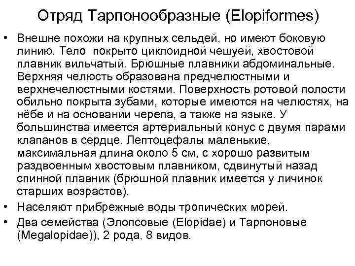 Отряд Тарпонообразные (Elopiformes) • Внешне похожи на крупных сельдей, но имеют боковую линию. Тело