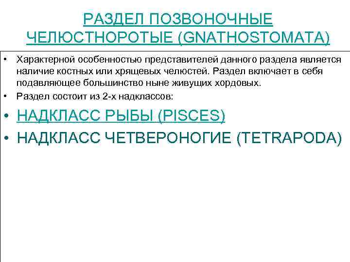 РАЗДЕЛ ПОЗВОНОЧНЫЕ ЧЕЛЮСТНОРОТЫЕ (GNATHOSTOMAТА) • Характерной особенностью представителей данного раздела является наличие костных или