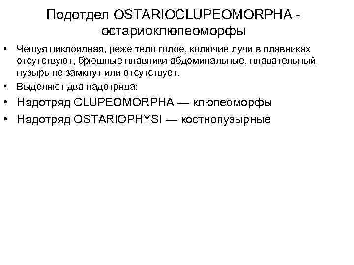 Подотдел OSTARIOCLUPEOMORPHA остариоклюпеоморфы • Чешуя циклоидная, реже тело голое, колючие лучи в плавниках отсутствуют,