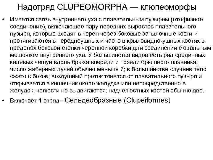 Надотряд CLUPEOMORPHA — клюпеоморфы • Имеется связь внутреннего уха с плавательным пузырем (отофизное соединение),