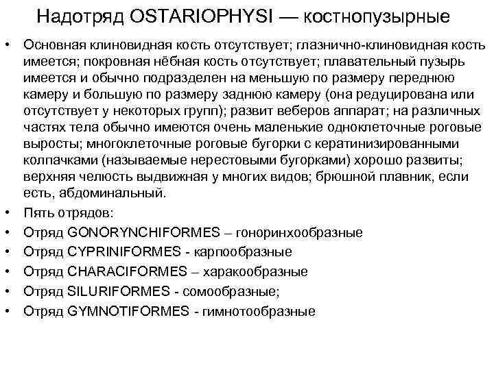 Надотряд OSTARIOPHYSI — костнопузырные • Основная клиновидная кость отсутствует; глазнично-клиновидная кость имеется; покровная нёбная