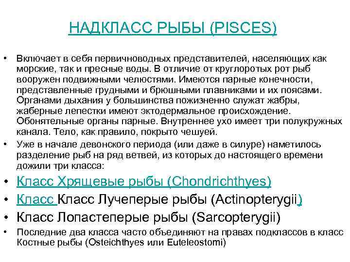 НАДКЛАСС РЫБЫ (PISCES) • Включает в себя первичноводных представителей, населяющих как морские, так и