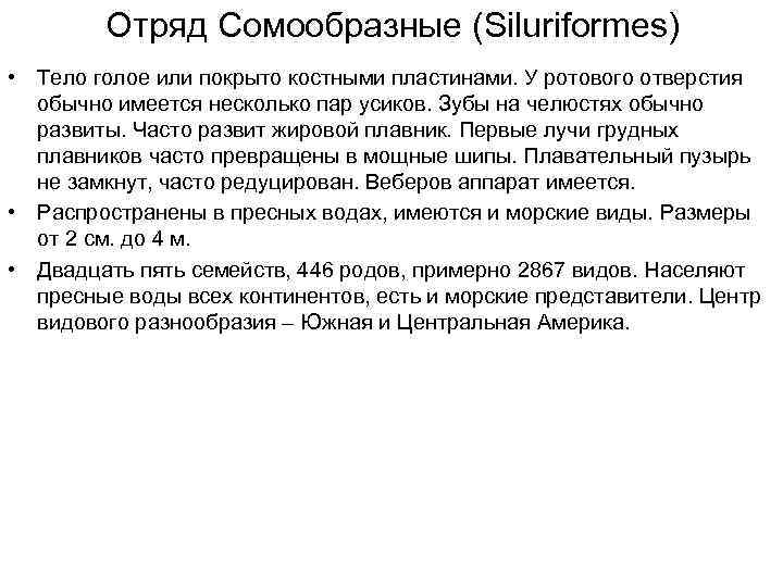 Отряд Сомообразные (Siluriformes) • Тело голое или покрыто костными пластинами. У ротового отверстия обычно