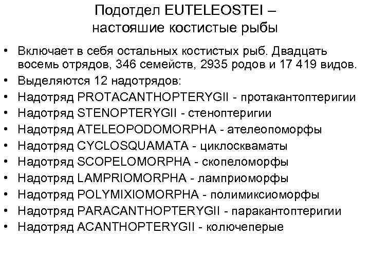 Подотдел EUTELEOSTEI – настояшие костистые рыбы • Включает в себя остальных костистых рыб. Двадцать