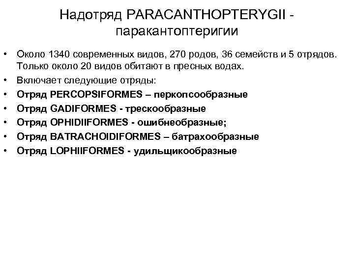 Надотряд PARACANTHOPTERYGII - паракантоптеригии • Около 1340 современных видов, 270 родов, 36 семейств и