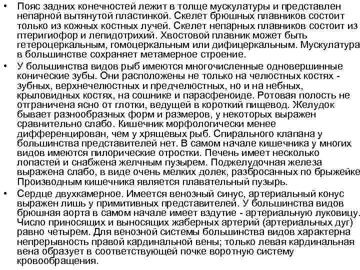  • Пояс задних конечностей лежит в толще мускулатуры и представлен непарной вытянутой пластинкой.