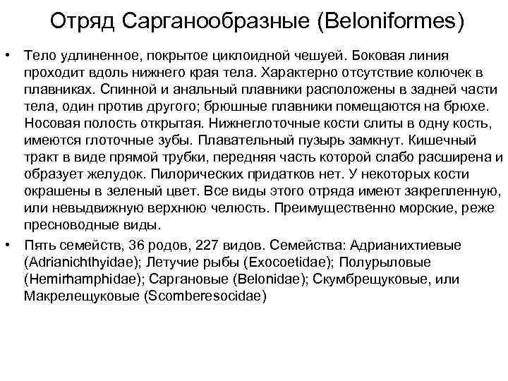 Отряд Сарганообразные (Beloniformes) • Тело удлиненное, покрытое циклоидной чешуей. Боковая линия проходит вдоль нижнего