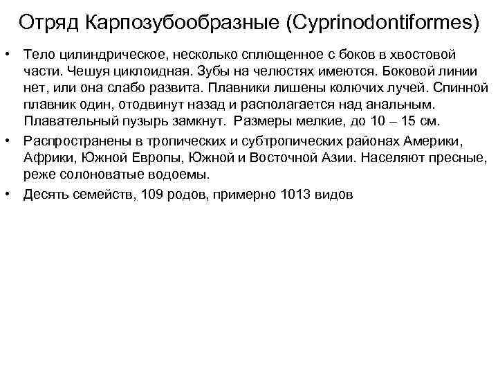 Отряд Карпозубообразные (Cyprinodontiformes) • Тело цилиндрическое, несколько сплющенное с боков в хвостовой части. Чешуя