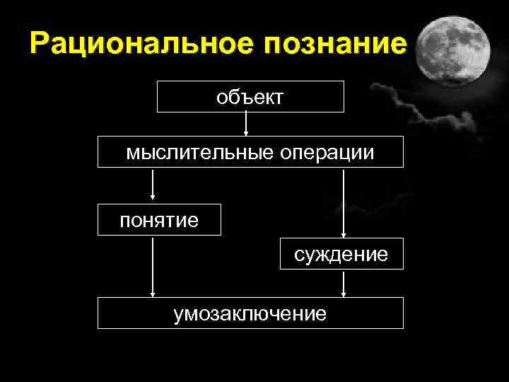 Рациональное познание объект мыслительные операции понятие суждение умозаключение 