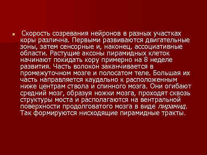 n Скорость созревания нейронов в разных участках коры различна. Первыми развиваются двигательные зоны, затем