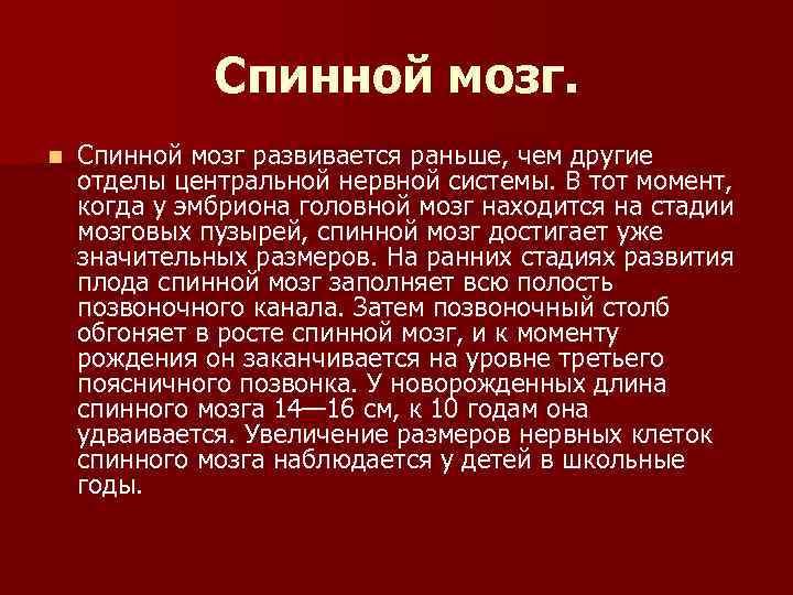 Спинной мозг. n Спинной мозг развивается раньше, чем другие отделы центральной нервной системы. В