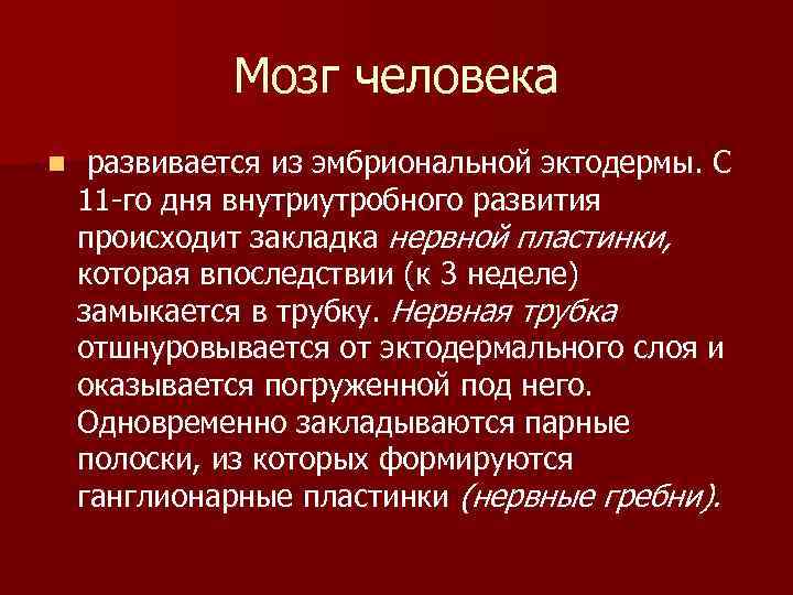 Мозг человека n развивается из эмбриональной эктодермы. С 11 -го дня внутриутробного развития происходит