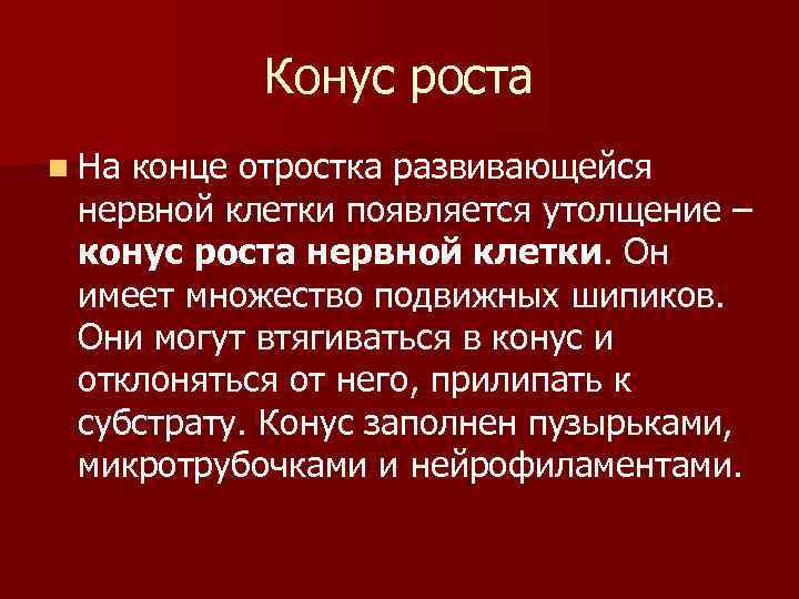 Конус роста n На конце отростка развивающейся нервной клетки появляется утолщение – конус роста