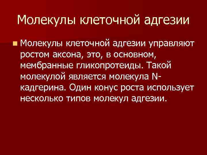 Молекулы клеточной адгезии n Молекулы клеточной адгезии управляют ростом аксона, это, в основном, мембранные