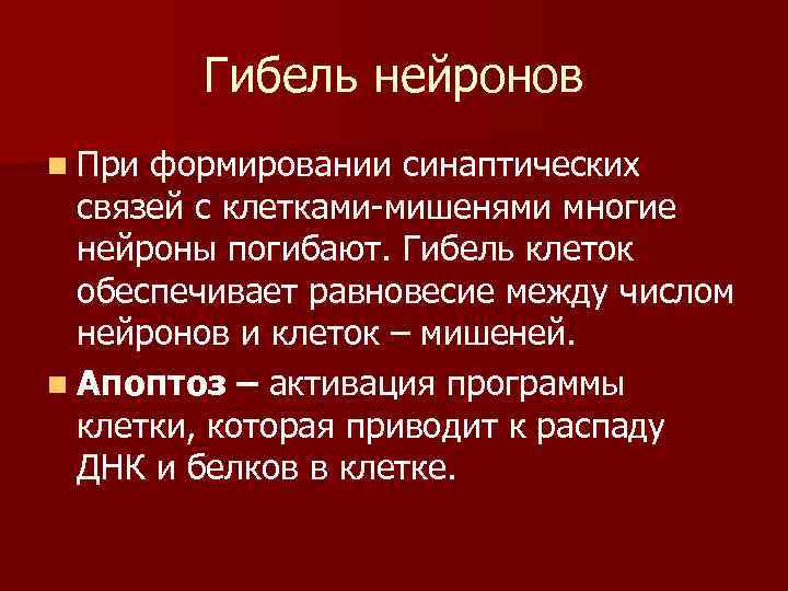 Гибель нейронов n При формировании синаптических связей с клетками-мишенями многие нейроны погибают. Гибель клеток