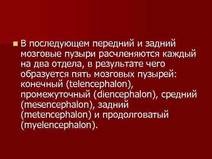 n В последующем передний и задний мозговые пузыри расчленяются каждый на два отдела, в