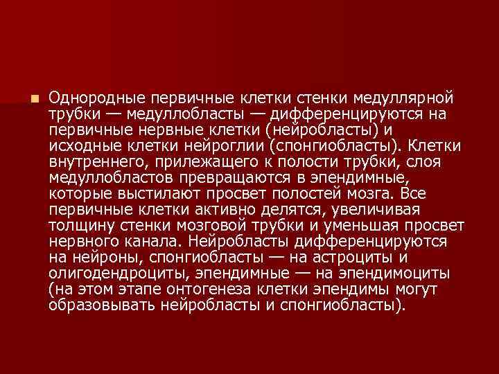 n Однородные первичные клетки стенки медуллярной трубки — медуллобласты — дифференцируются на первичные нервные