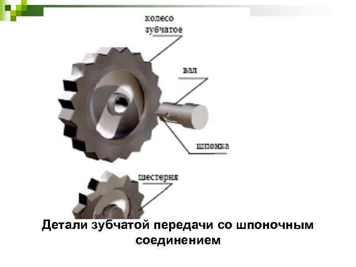 Детали зубчатой передачи со шпоночным соединением 