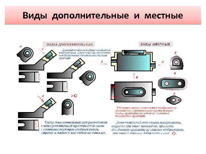 Виды дополнительные и местные 