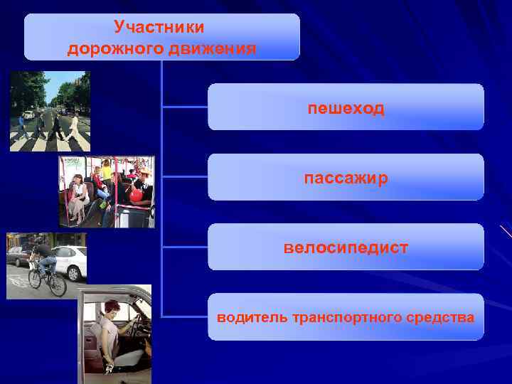 Участники дорожного движения пешеход пассажир велосипедист водитель транспортного средства 