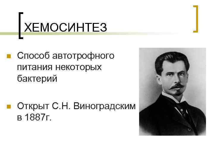 Хемосинтез это. Хемосинтез открыл в 1887 году. Виноградский хемосинтез. С Н Виноградский хемосинтез. Хемосинтез открыл.