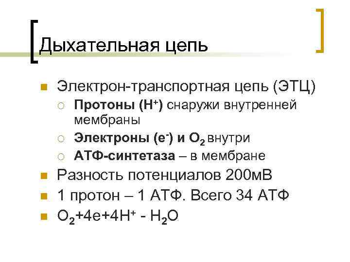 Дыхательная цепь n Электрон-транспортная цепь (ЭТЦ) ¡ ¡ ¡ n n n Протоны (Н+)