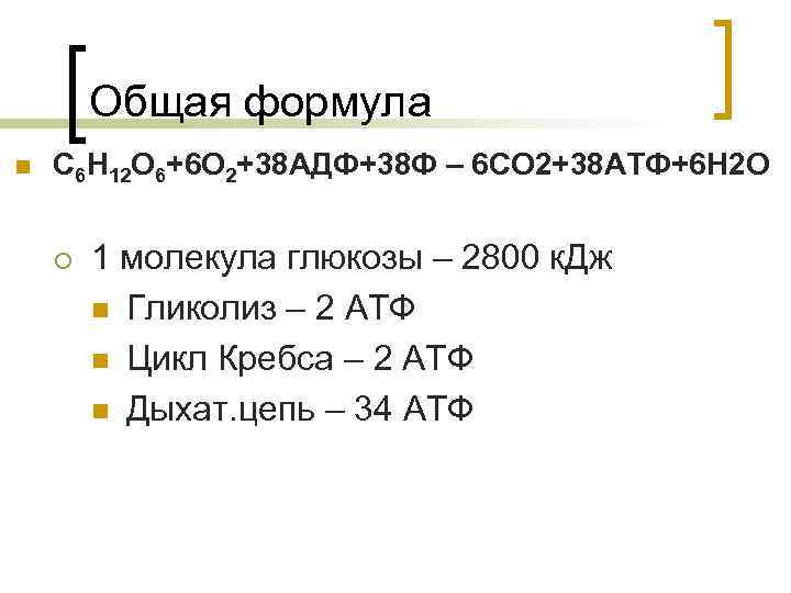 Общая формула n С 6 Н 12 О 6+6 О 2+38 АДФ+38 Ф –