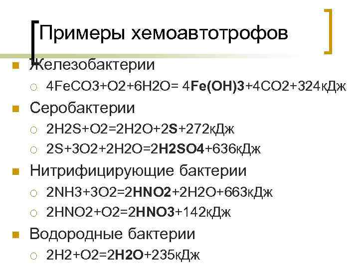 Второй конкретный. Фотоавтотрофы и хемоавтотрофы. Серобактерии хемоавтотрофы. Хемоафтотрофы бактерии. Примеры хемоавтотрофов.