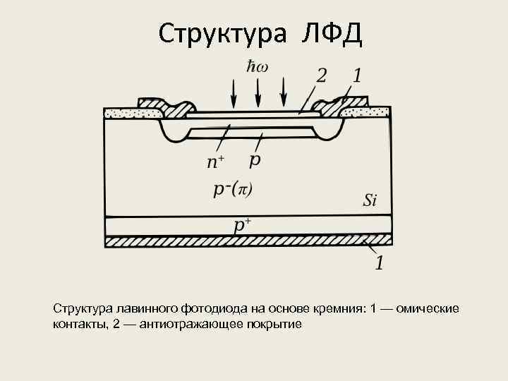 Структура ЛФД Структура лавинного фотодиода на основе кремния: 1 — омические контакты, 2 —