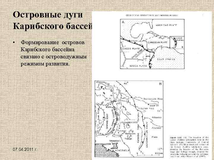 Островные дуги Карибского бассейна • Формирование островов Карибского бассейна связано с островодужным режимом развития.