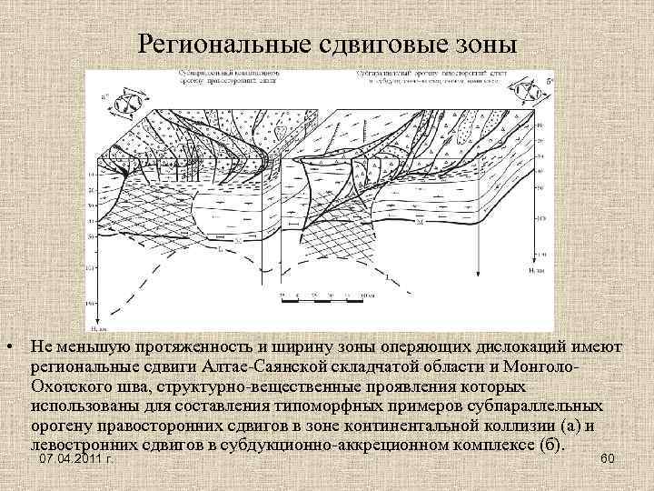 Региональные сдвиговые зоны • Не меньшую протяженность и ширину зоны оперяющих дислокаций имеют региональные