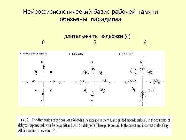 Нейрофизиологический базис рабочей памяти обезьяны: парадигма 0 длительность задержки (с) 3 6 
