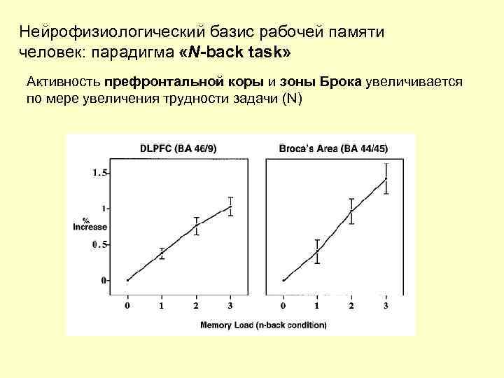 Нейрофизиологический базис рабочей памяти человек: парадигма «N-back task» Активность префронтальной коры и зоны Брока