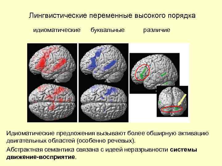 Лингвистические переменные высокого порядка идиоматические буквальные различие Идиоматические предложения вызывают более обширную активацию двигательных