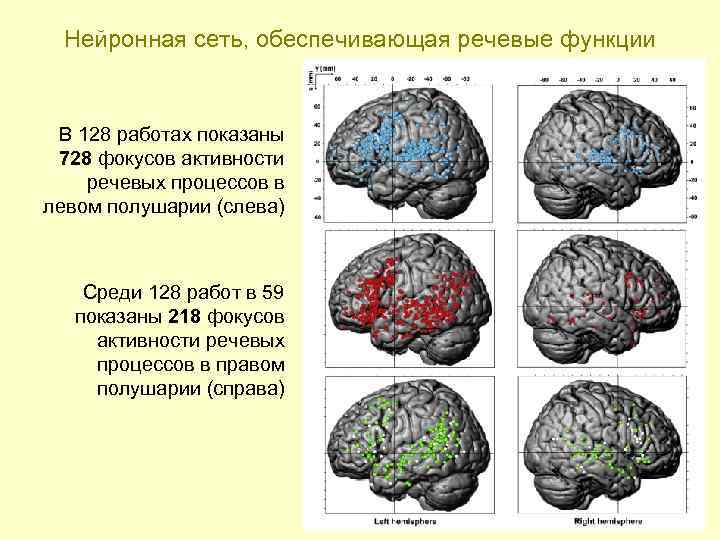 Нейронная сеть, обеспечивающая речевые функции В 128 работах показаны 728 фокусов активности речевых процессов