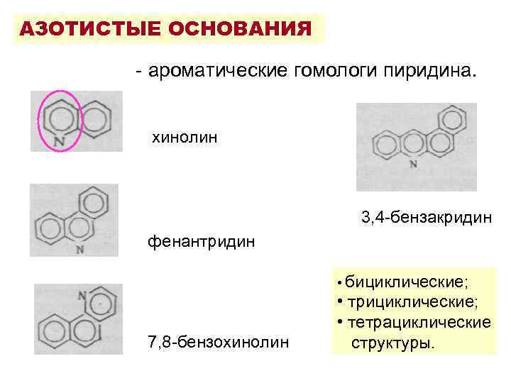 АЗОТИСТЫЕ ОСНОВАНИЯ - ароматические гомологи пиридина. хинолин 3, 4 -бензакридин фенантридин • бициклические; 7,