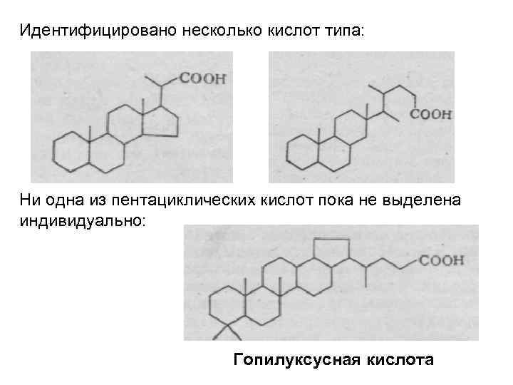 Идентифицировано несколько кислот типа: Ни одна из пентациклических кислот пока не выделена индивидуально: Гопилуксусная