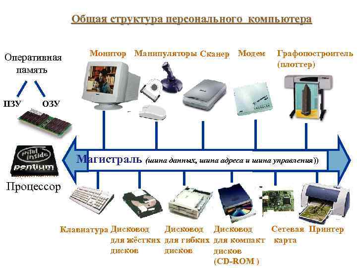 Общая структура персонального компьютера Оперативная память ПЗУ Монитор Манипуляторы Сканер Модем Графопостроитель (плоттер) ОЗУ