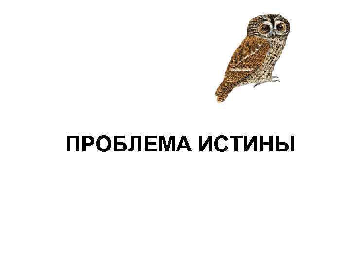 ПРОБЛЕМА ИСТИНЫ 