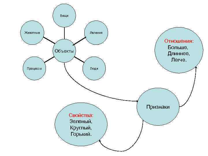 Вещи Животные Явления Отношения: Больше, Длиннее, Легче. Объекты Процессы Люди Признаки Свойства: Зеленый, Круглый,