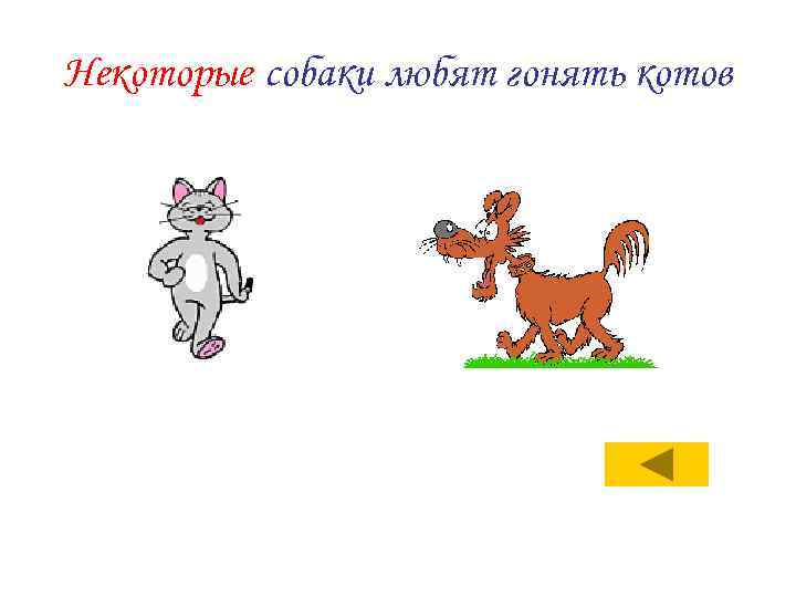 Некоторые собаки любят гонять котов 