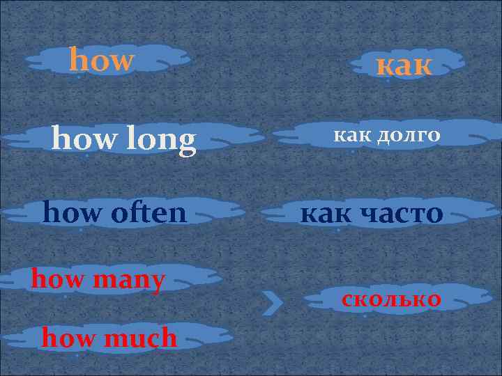 how long how often how many how much как долго как часто сколько 
