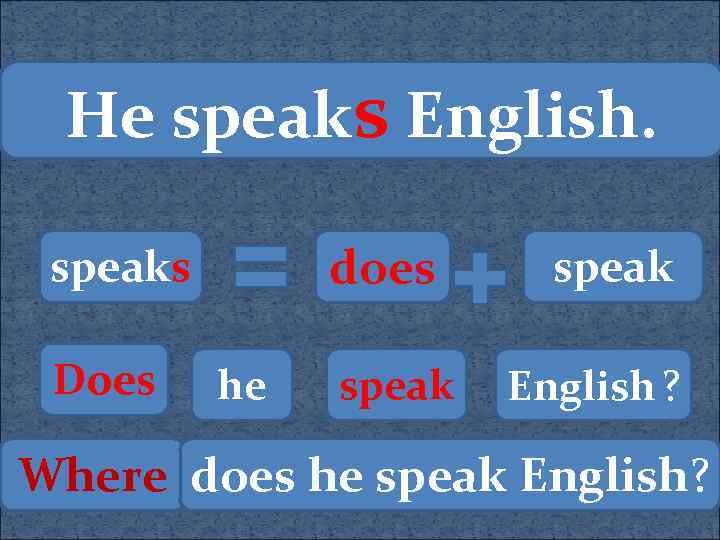 He speaks English. does speaks Does he speak English ? Where does he speak