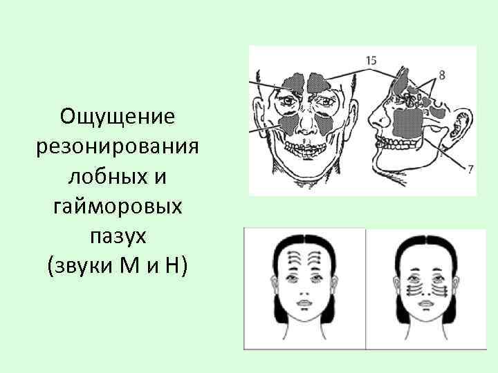 Ощущение резонирования лобных и гайморовых пазух (звуки М и Н) 