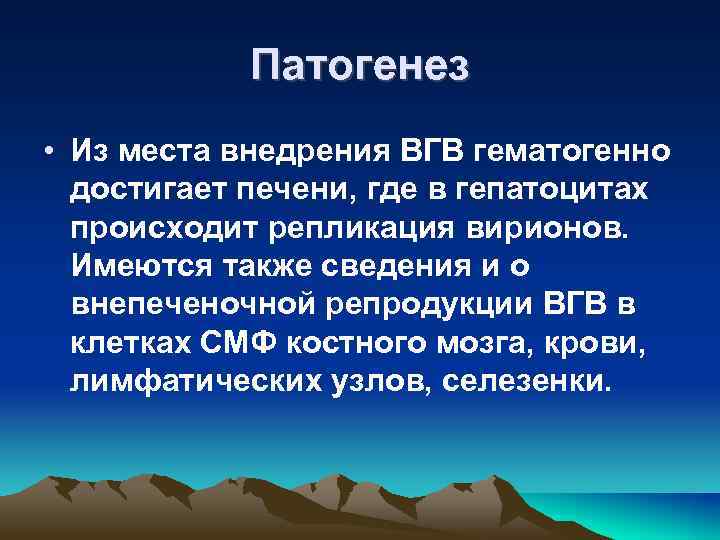 Патогенез • Из места внедрения ВГВ гематогенно достигает печени, где в гепатоцитах происходит репликация